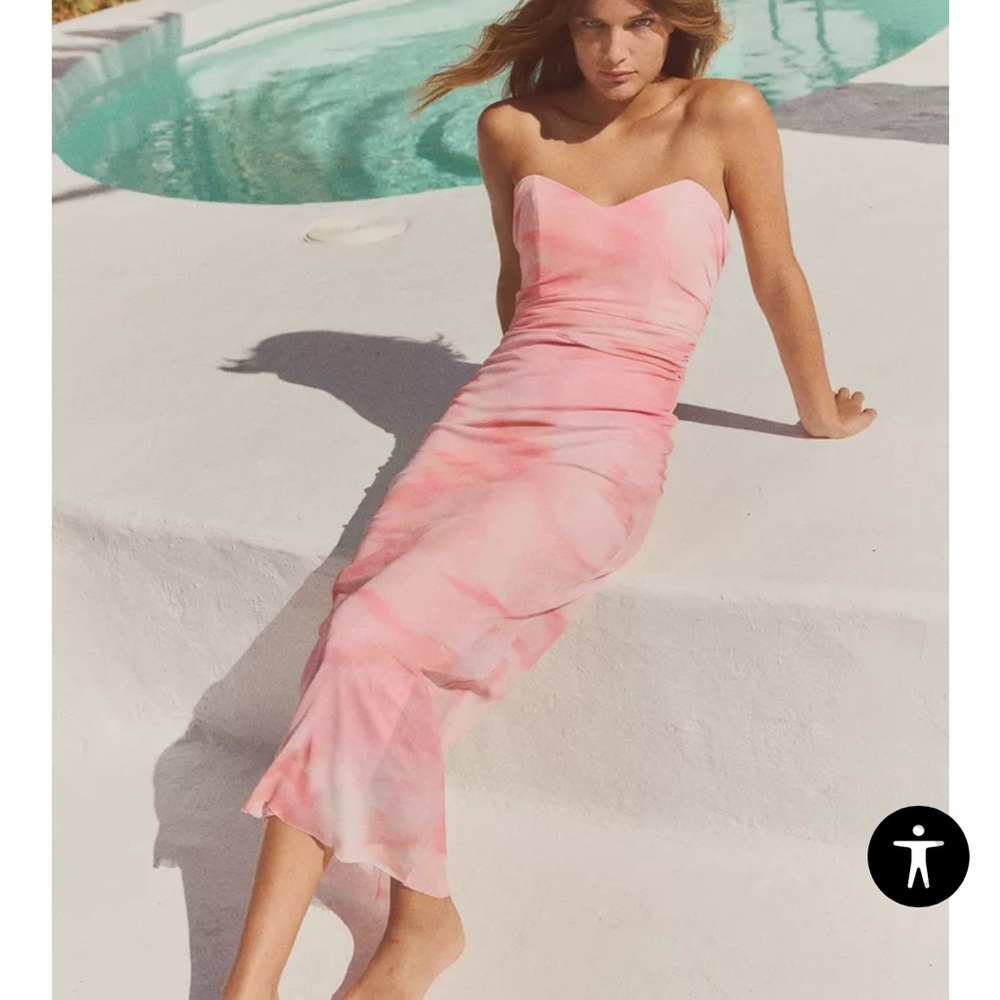 Zara Strapless Printed Tulle Dress NWT